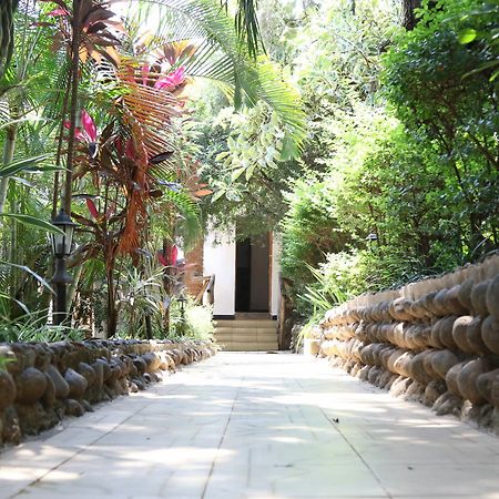 Neneu Hotel Moshi Buitenkant foto